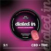 Rocket Berry | 10pk 100mg 1:5 THC:CBD Rosin Gummies